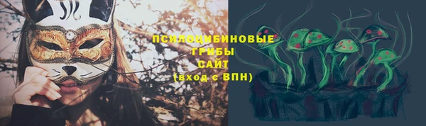 ГАЛЛЮЦИНОГЕННЫЕ ГРИБЫ Алексеевка