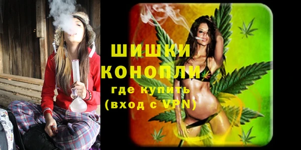 ГАЛЛЮЦИНОГЕННЫЕ ГРИБЫ Алексеевка