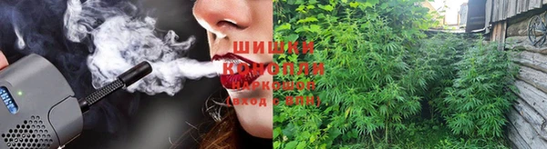 ГАЛЛЮЦИНОГЕННЫЕ ГРИБЫ Алексеевка